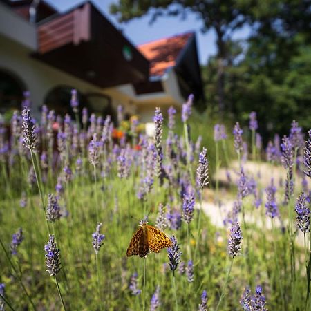 Zseri Vadaszhaz Fehérvárcsurgó Buitenkant foto