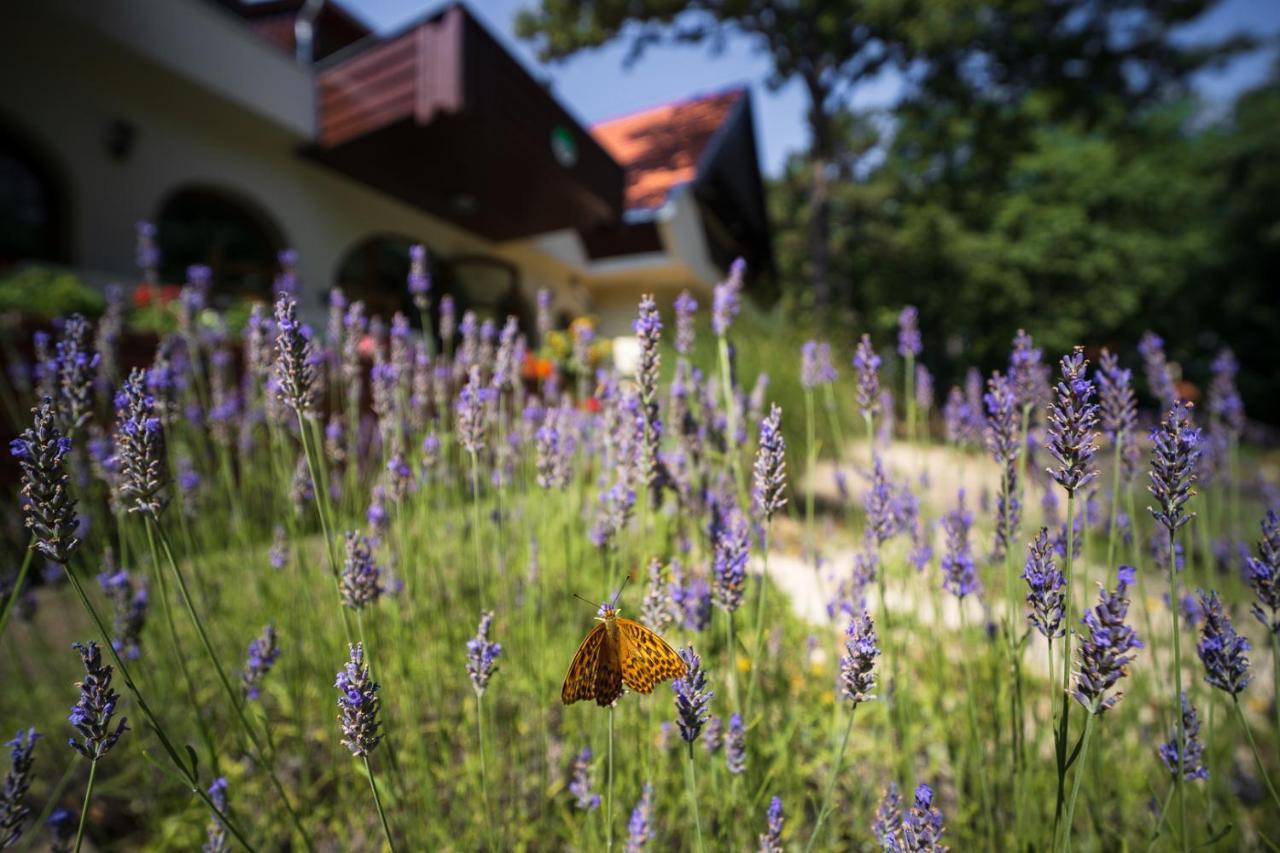 Zseri Vadaszhaz Fehérvárcsurgó Buitenkant foto