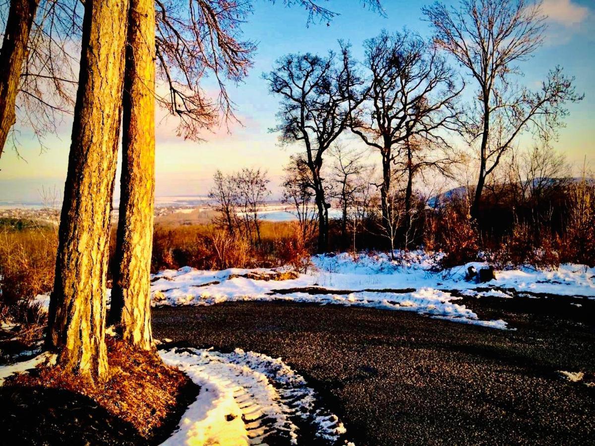 Zseri Vadaszhaz Fehérvárcsurgó Buitenkant foto